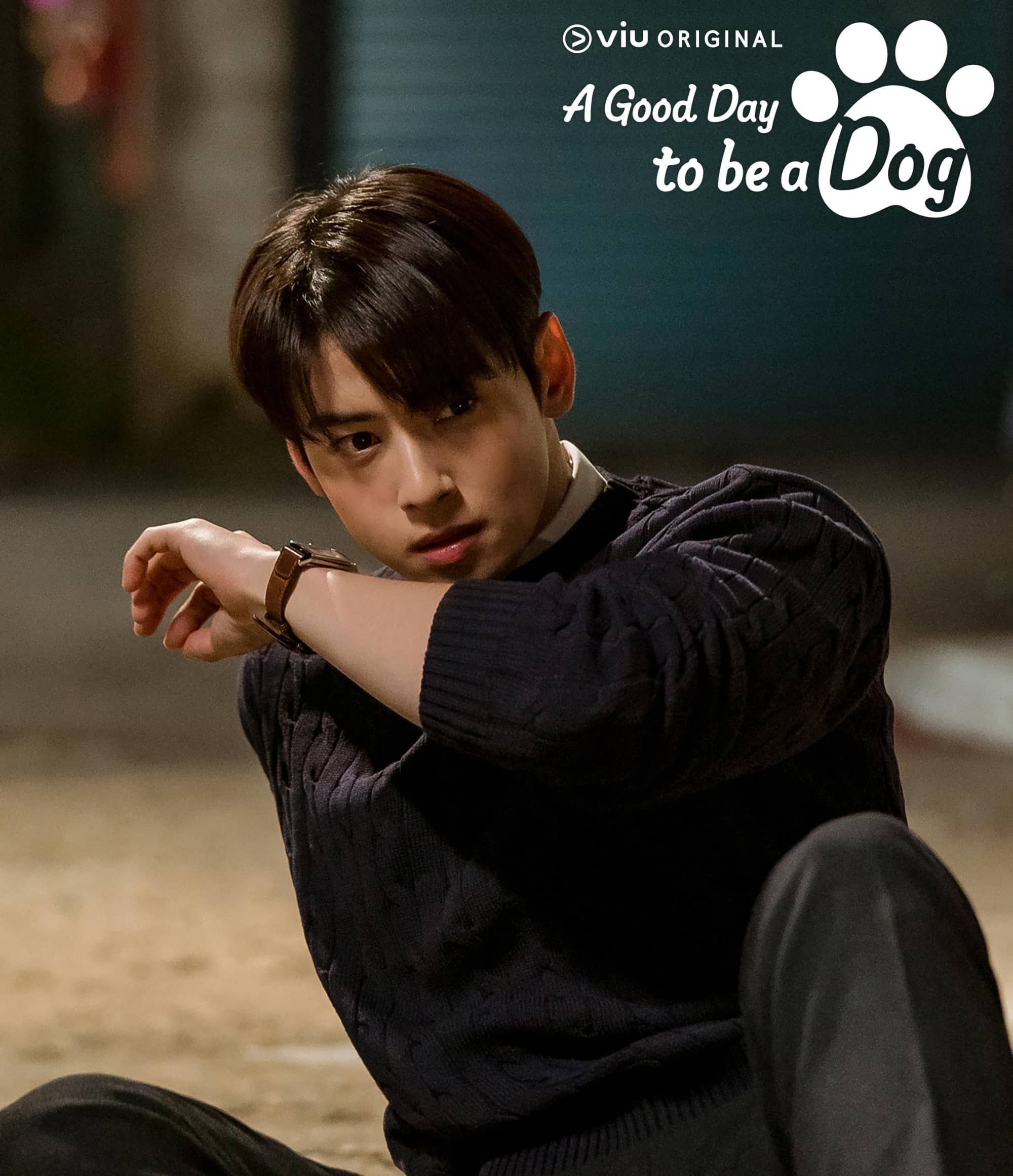 Cha Eun Woo in 